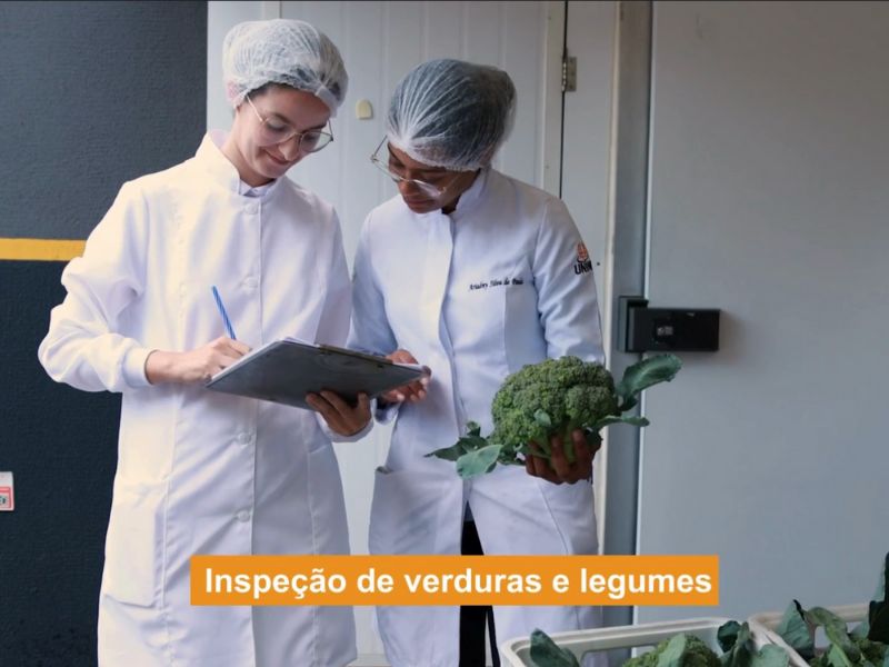 Controle de Qualidade - Inspeção rigorosa de verduras e legumes